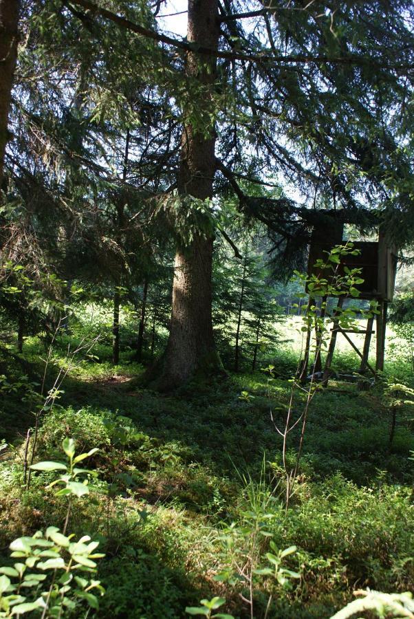 Gastehaus Wuhrer Daire Franking Dış mekan fotoğraf